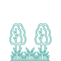 Poda